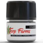 critical kush cannabis derived terpenes cdt