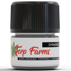 critical kush cannabis derived terpenes cdt