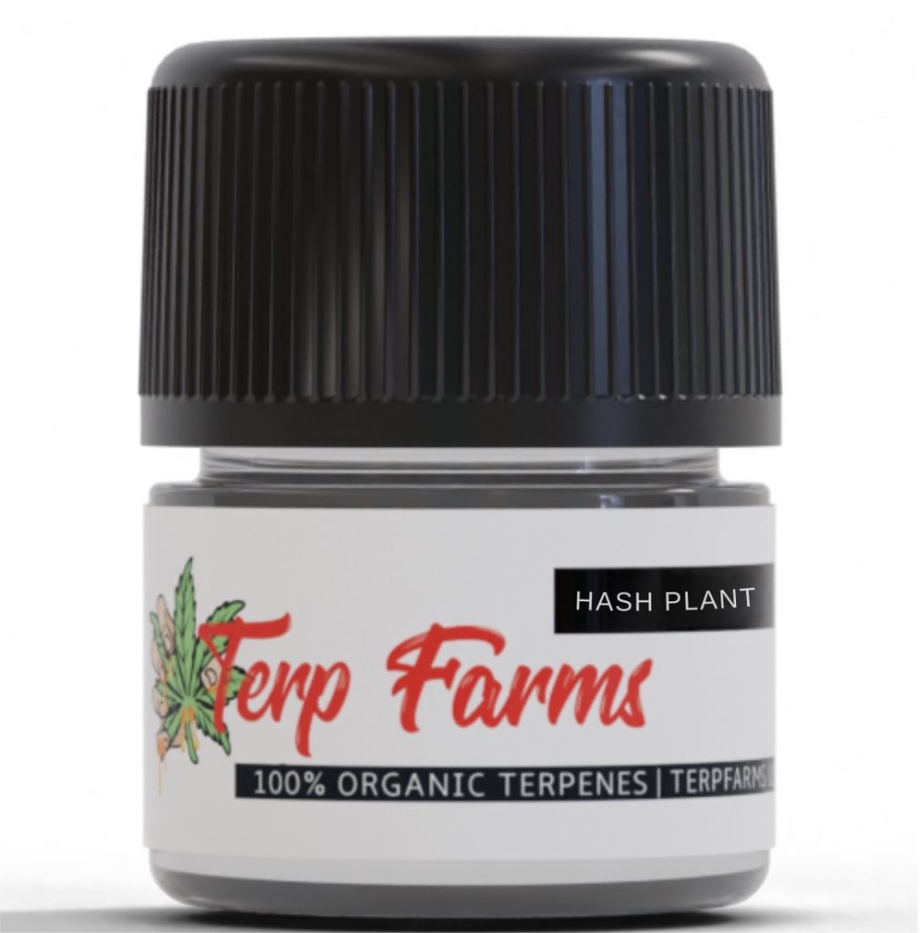 hash plant cannabis derived terpenes cdt