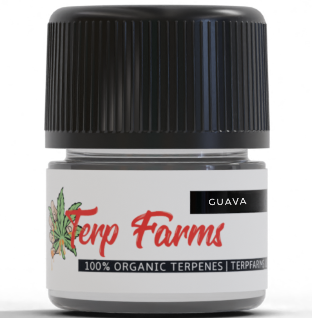 guava cannabis terpenes